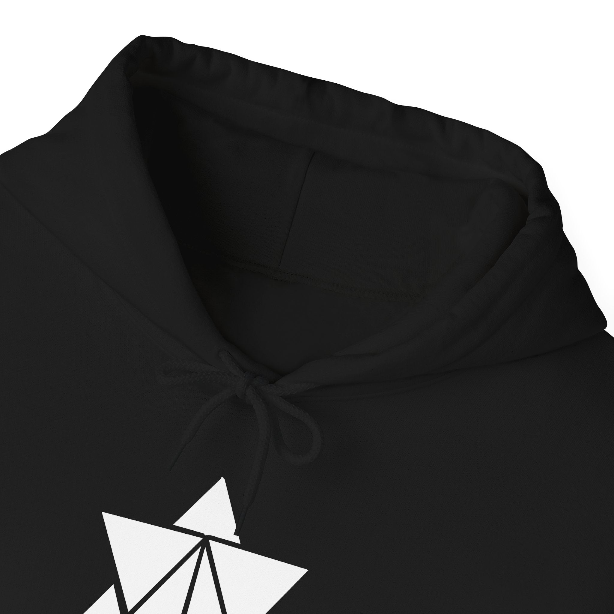 Unisex Alastary Logo Black Hoodie