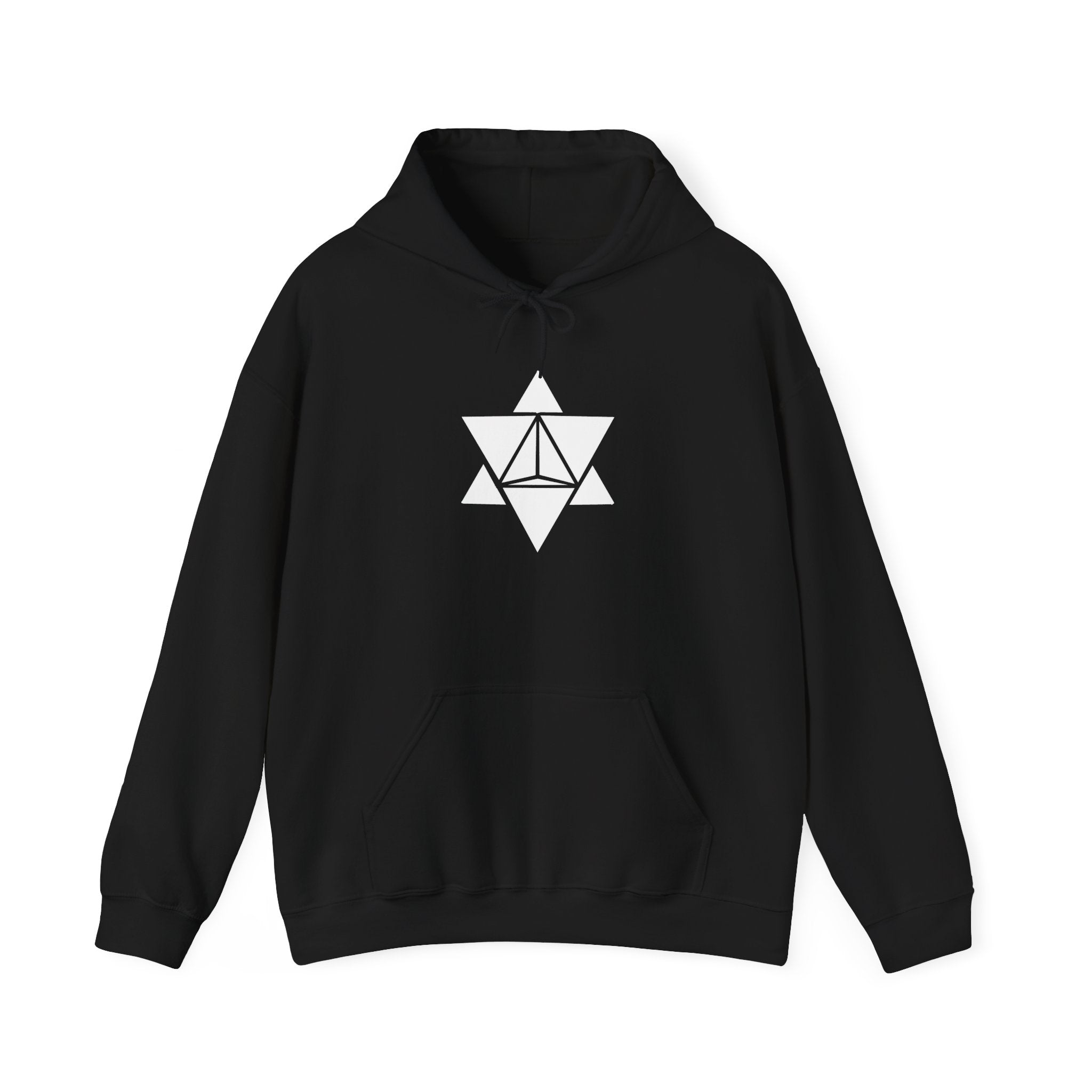 Unisex Alastary Logo Black Hoodie