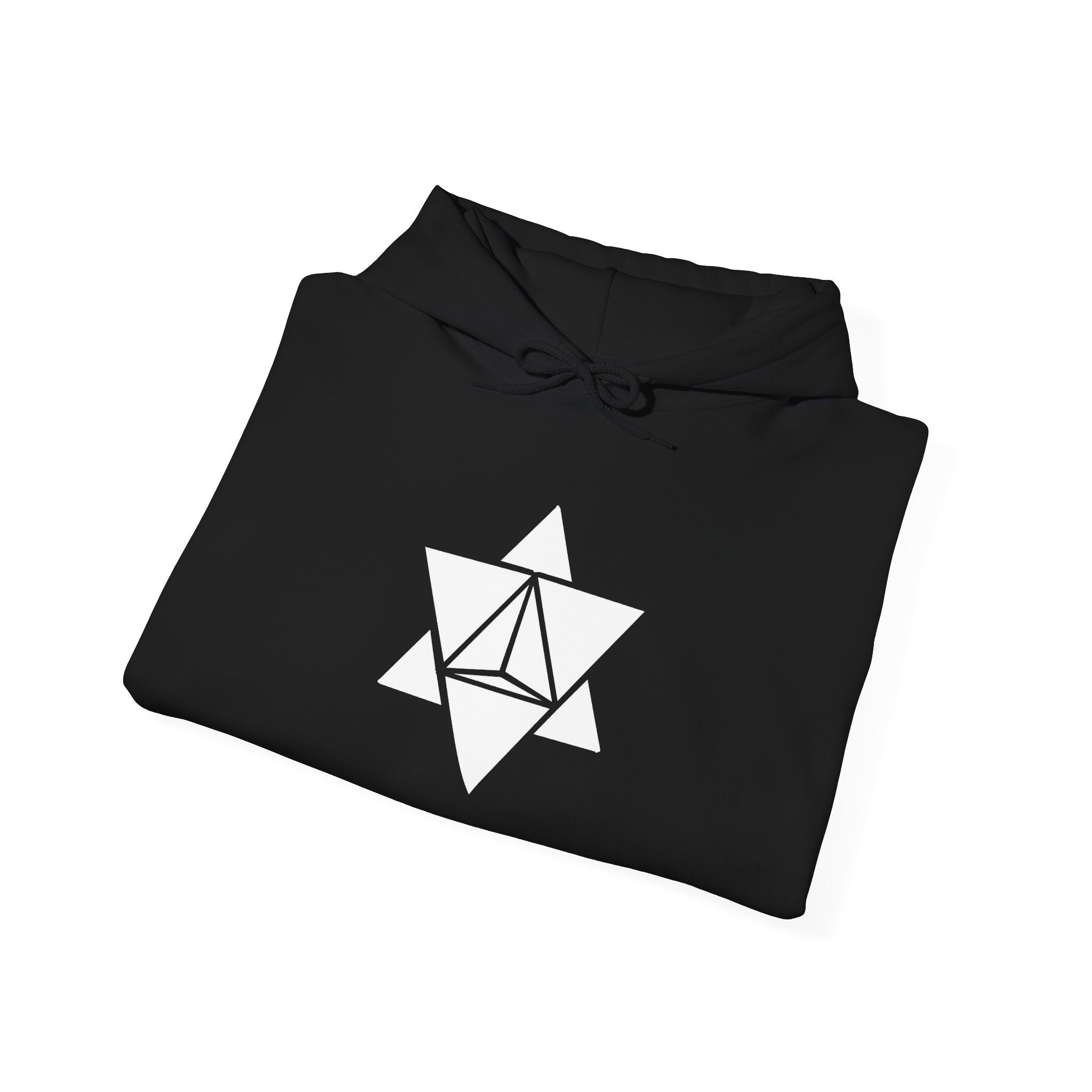 Unisex Alastary Logo Black Hoodie