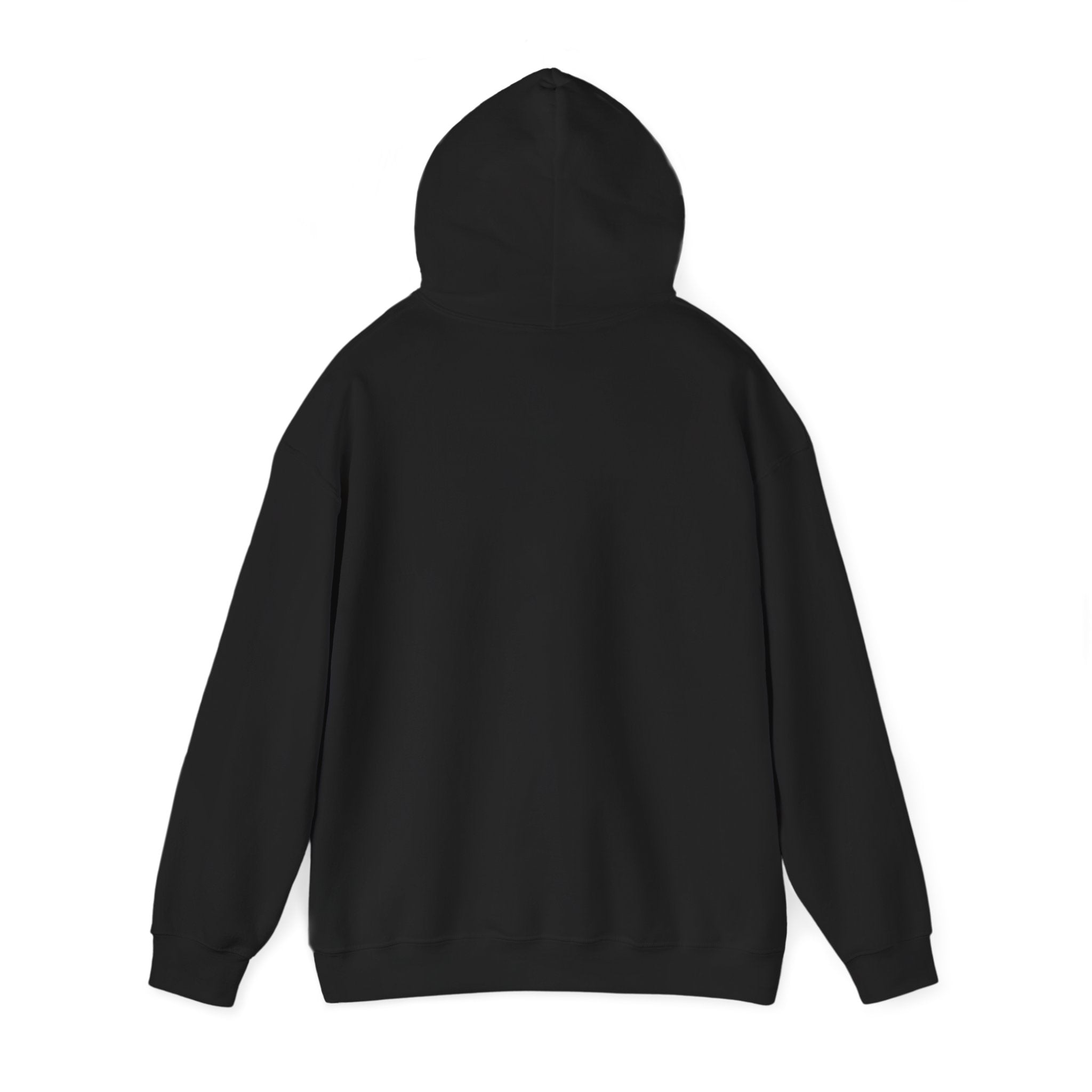 Unisex Alastary Logo Black Hoodie